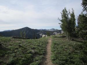 Viewpoint above lake