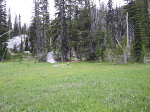 Goats are visiting my camp.