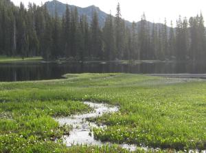 View of the lake near camp
